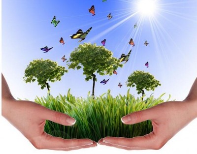 吳道洪 以節(jié)能減排技術(shù)創(chuàng)新與推廣服務(wù)，為中國實(shí)體經(jīng)濟(jì)注入綠色新動(dòng)力